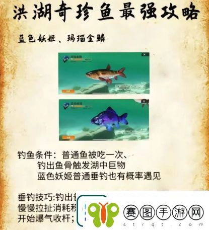 欢乐钓鱼大师洪湖最后两条鱼在哪里钓