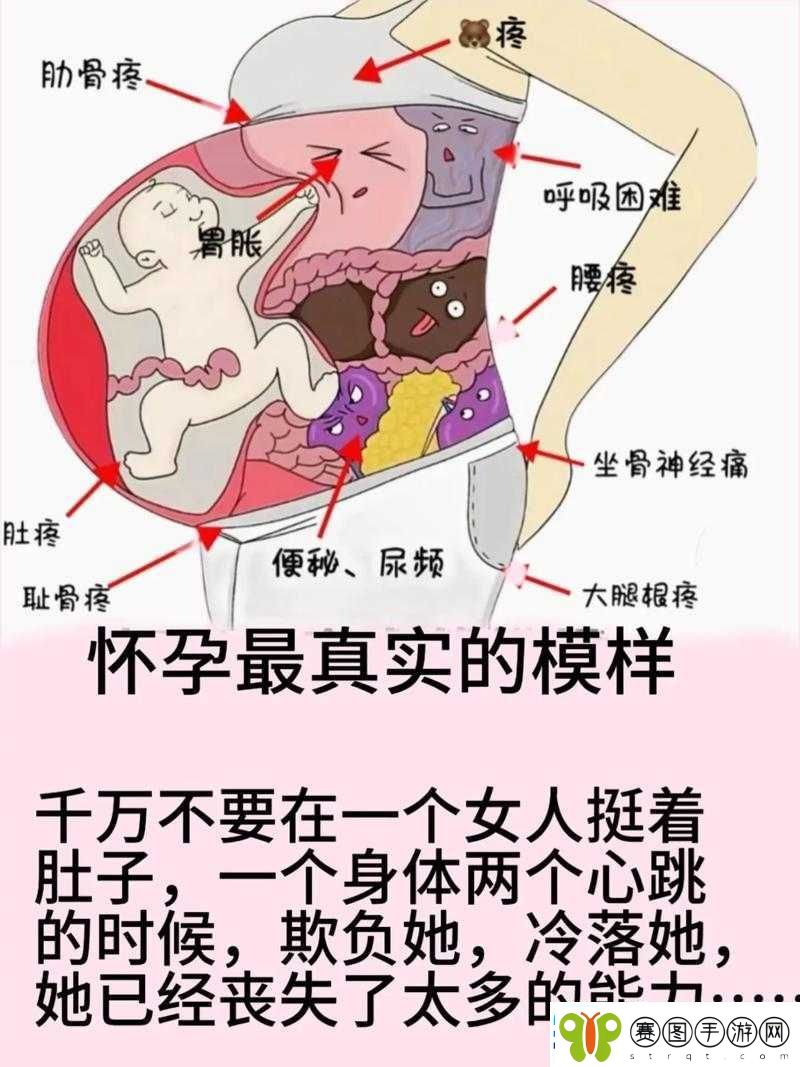 在WWW孕妇的世界里