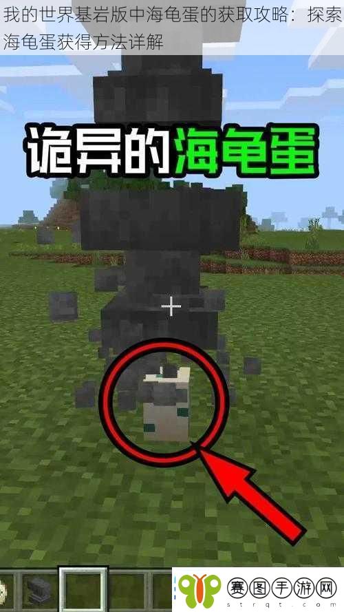 我的世界基岩版中海龟蛋的获取攻略