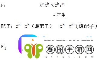 性xBxBlxBxBxB