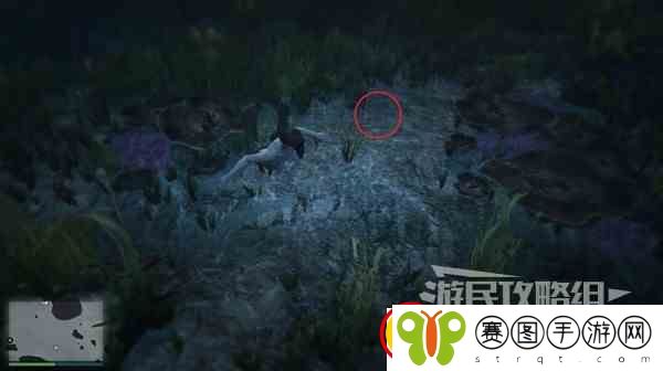 GTAOL全海底迷幻仙人掌位置一览