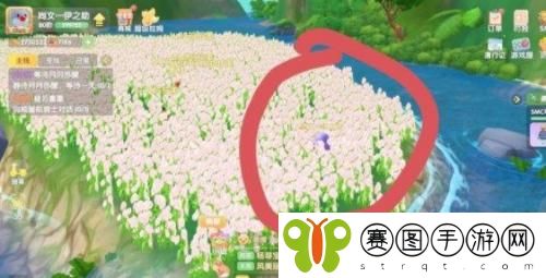 摩尔庄园蝴蝶在哪里 摩尔庄园蝴蝶具体位置介绍