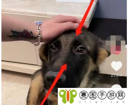 抖音怎么清屏 抖音清屏教程介绍分享