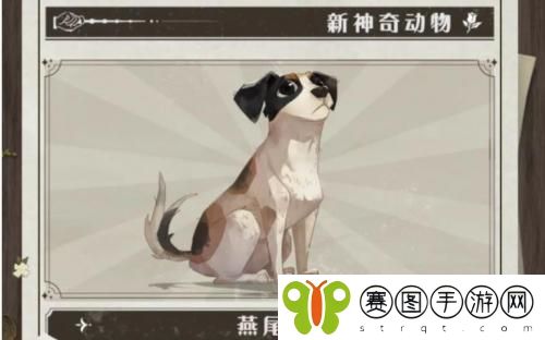 哈利波特魔法觉醒神奇动物燕尾狗怎么获得 神奇动物燕尾狗获得方法介绍