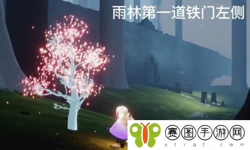 光遇2022年3月30日每日任务完成攻略