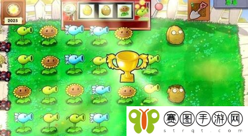 植物大战僵尸***怎么通关 植物大战僵尸***通关攻略