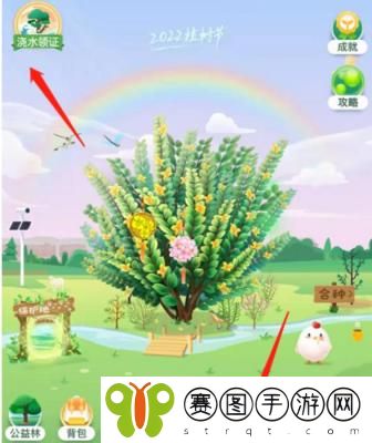 支付宝蚂蚁森林怎么领取2022植树节证书 支付宝蚂蚁森林2022植树节证书领取方法介绍