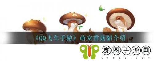 QQ飞车手游萌宠香菇貂介绍 QQ飞车手游萌宠香菇貂介绍