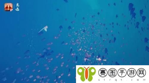 光遇呼吸药剂可以恢复多少氧气答案是什么 光遇呼吸药剂可以恢复多少氧气答案攻略分享