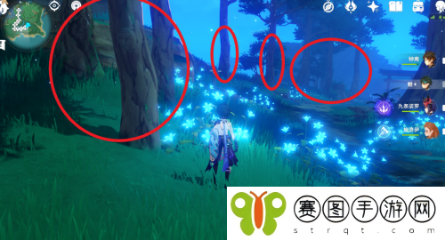 原神孔雀木在哪里 原神孔雀木具体位置介绍